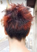 fryzury krótkie - uczesanie damskie z włosów krótkich zdjęcie numer 18B